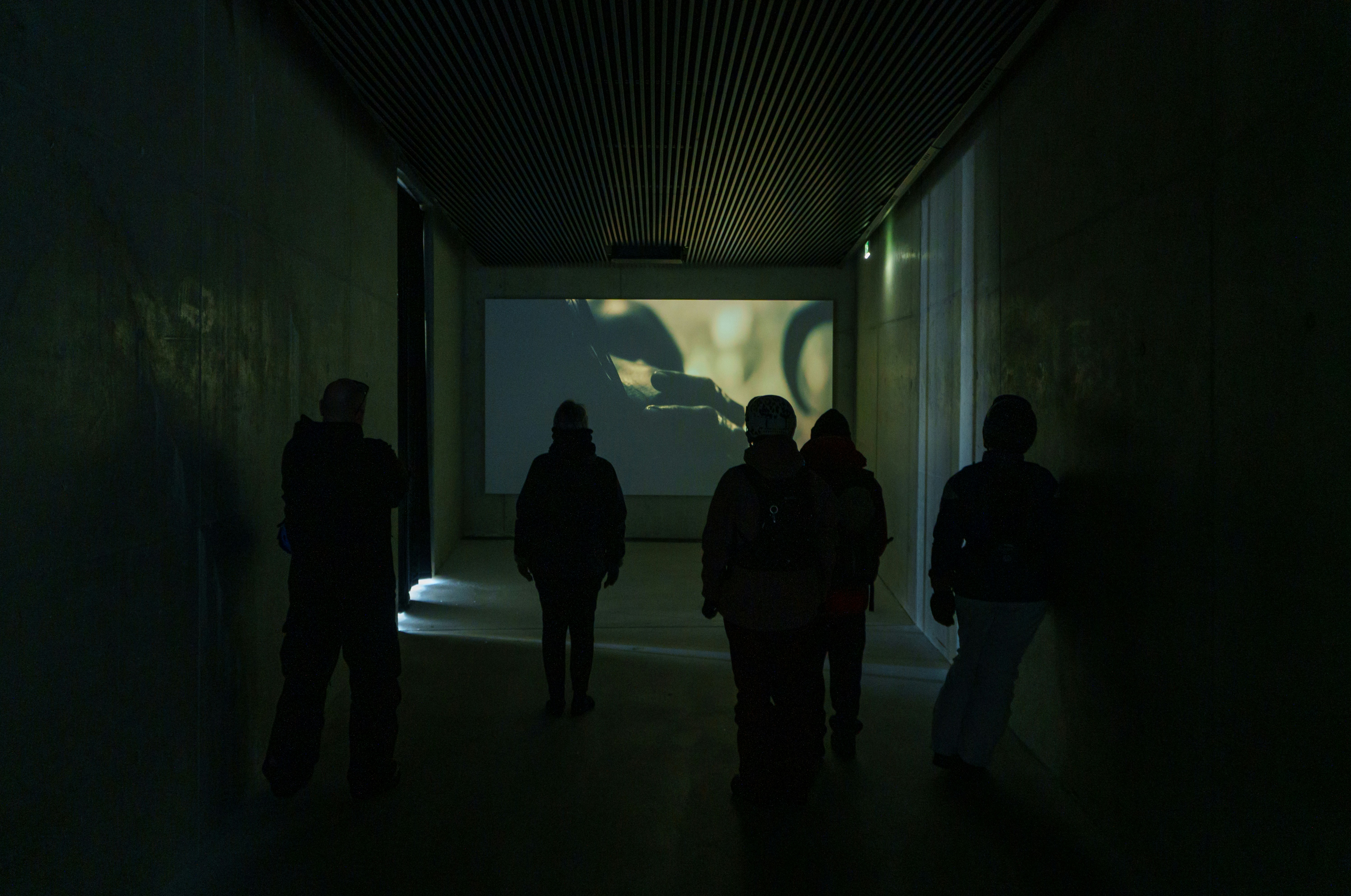 People watching a film screening in a room with a large projector screen.